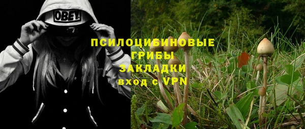 ешки Алексеевка